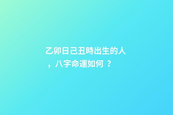 乙卯日己丑時出生的人，八字命運如何？